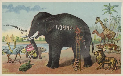Advertentie voor Ivorine zeep